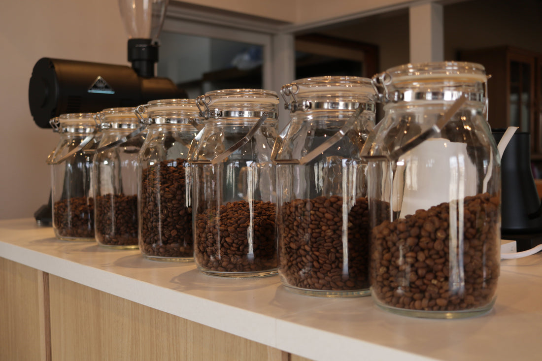 浅煎りコーヒーの魅力