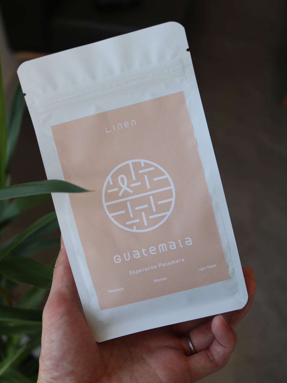New Beans リリースしました！