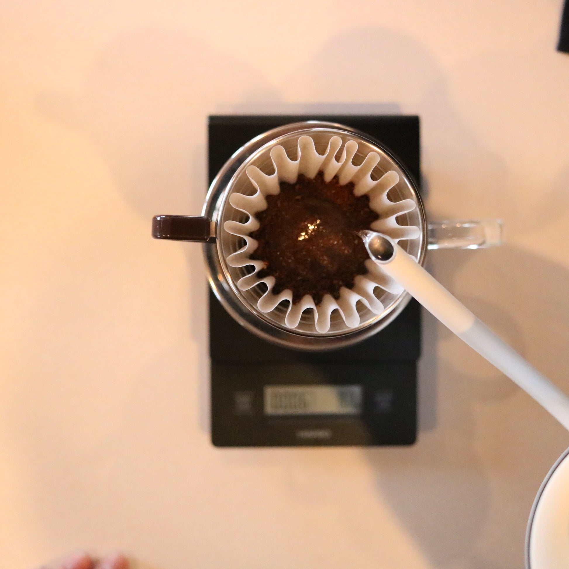 【送料無料】コーヒー飲み比べセット（100g×3種類）